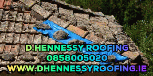Blue Tarp Roof www.dhennessyroofing.ie