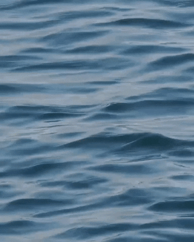 Blue Water Hello July GIF
