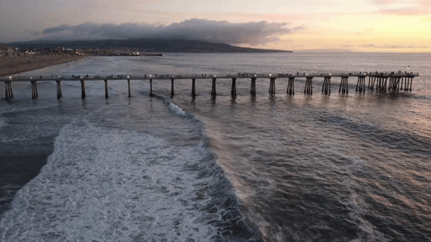 Blue Wave And The Board Walk GIF