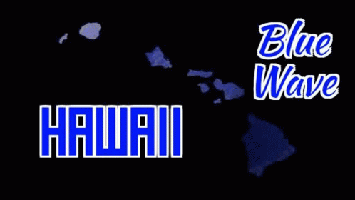 Blue Wave Hawaii GIF