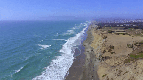 Blue Wave On A Sunny Day GIF