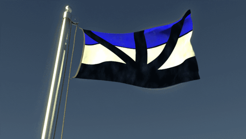 Blue White and Black Flag Flying