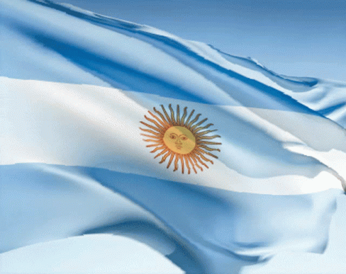 Blue White And Yellow Flag With Sun And Face GIF