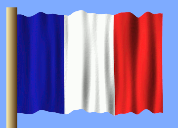 Blue White Red Flag With Gold Pole GIF