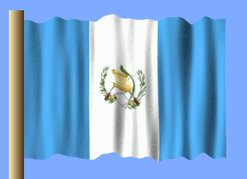 Blue White Yellow Flag With Eagle
