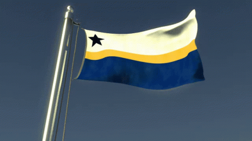 Blue Yellow And White Flag With Black Star GIF
