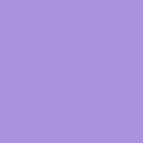 Blueberries on Purple Background Berry World Logo