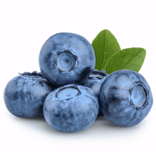 Blueberries With Leaves