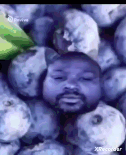 Blueberries With Man's Face