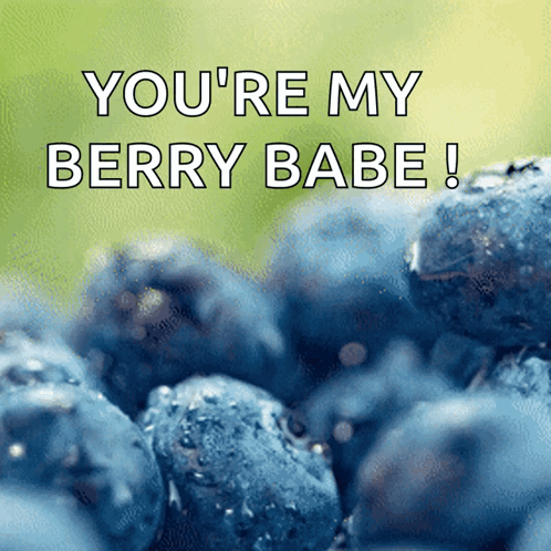 Blueberries You're My Berry Babe