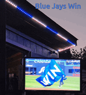 Bluejays Win Gif GIF