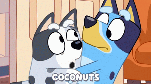 Bluey Muffin Heeler Coconuts GIF