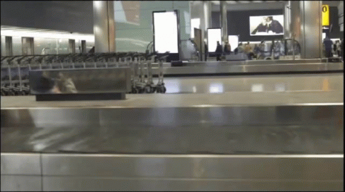 Blurred Airport with Yellow Arrivals Sign