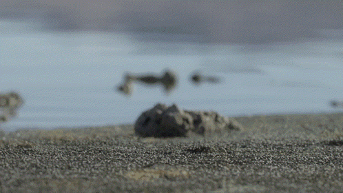 Blurred Body of Water With Rocks