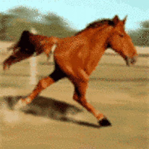 Blurred Brown Horse Running In Field GIF