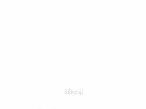 Blurred Car No Parking GIF