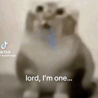 Blurred Cat Saying Lord I'm One