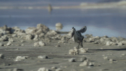 Blurred Crocodile Walking in Water