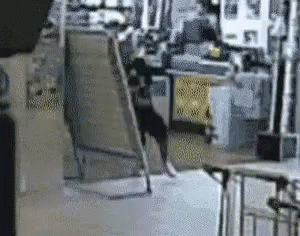 Blurred Dog Jumping Over Fence in Room