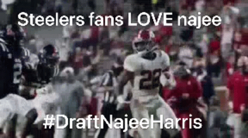 Blurred Football Game Steelers Fans Love Najee GIF