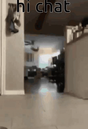 Blurred Hallway Saying Hi Chat GIF