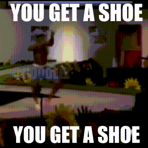 Blurred Image Saying You Get a Shoe You Get a Shoe