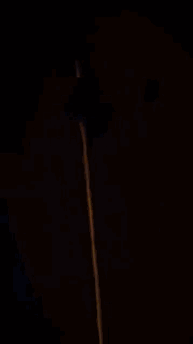 Blurred Lamp With Yellow Light