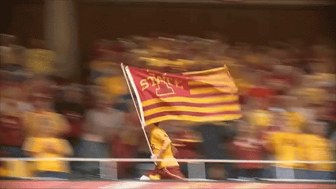 Blurred Person Holding UC San Diego Flag