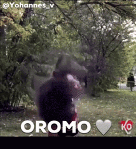 Blurred Person In Park Oromo GIF