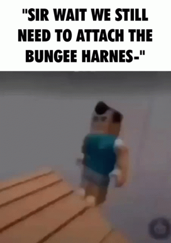 Blurred Person With Text Sir Wait We Still Need To Attach The Bungee Harness