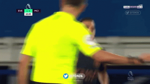 Blurred Referee During Soccer Game