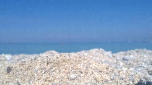 Blurred Rocky Beach With Ocean GIF