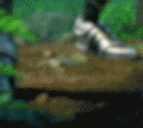 Blurred Sword in Jungle