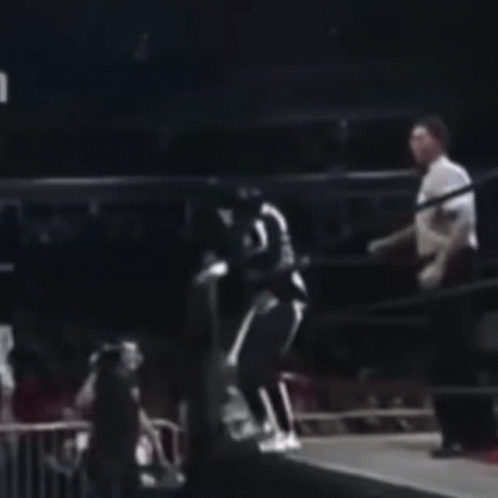 Blurry Boxing Ring With Person in White Shirt Letter L