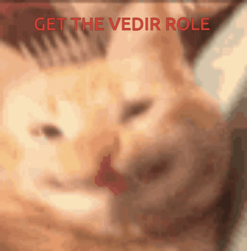 Blurry Cat Saying Get The Vedir Role