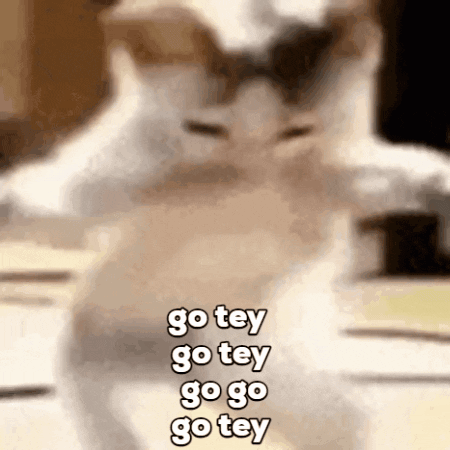Blurry Cat Saying Go Tey Go Tey Go Go Go Tey