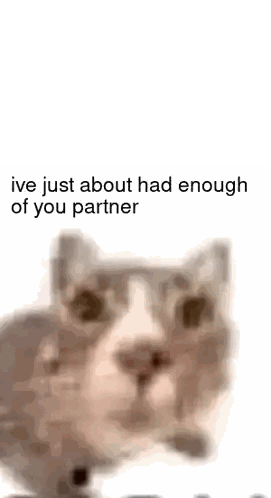Blurry Cat Saying I've Had Enough