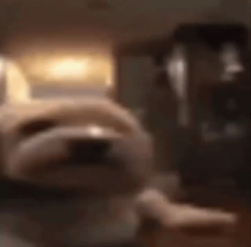 Blurry Cat Sitting on Table