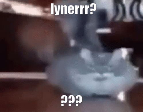 Blurry Cat With Lynerrr