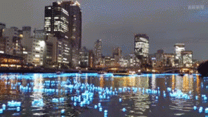Blurry City Skyline Night Water Foreground