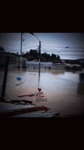 Blurry Flooded Street with Name Allen