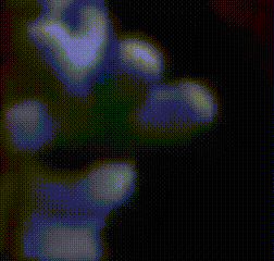 Blurry Hand Holding Remote Control In Dark Room GIF