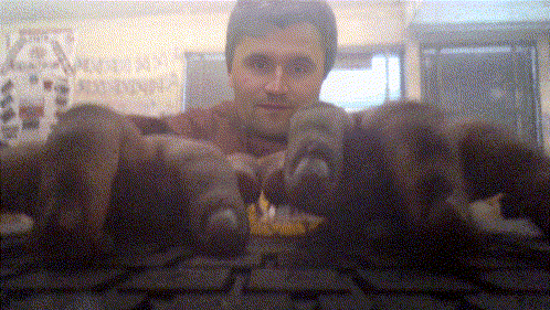 Blurry Man Holding Bunch of Animals