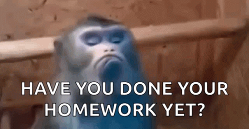 Blurry Monkey Have You Done Your Homework Yet GIF