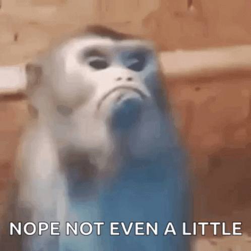 Blurry Monkey Saying Nope Not Even A Little GIF