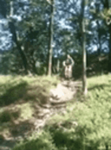 Blurry Person in Forest