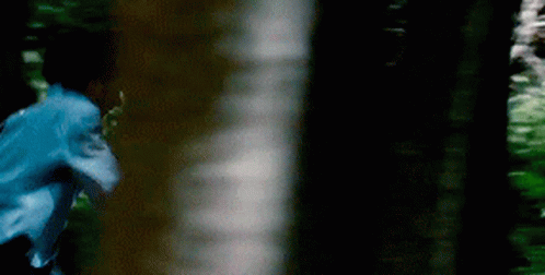 Blurry Person Running Through Forest