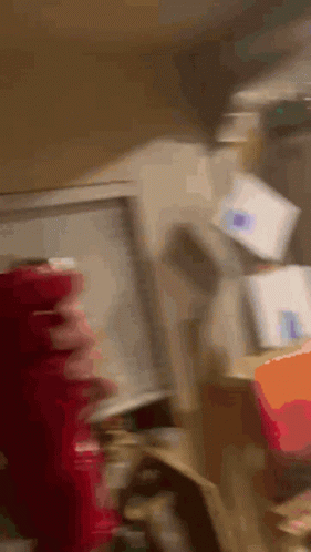 Blurry Person Standing in Front of Fridge