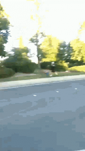 Blurry Road With Trees GIF