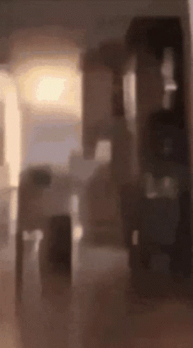 Blurry Room With Light Through Doorway